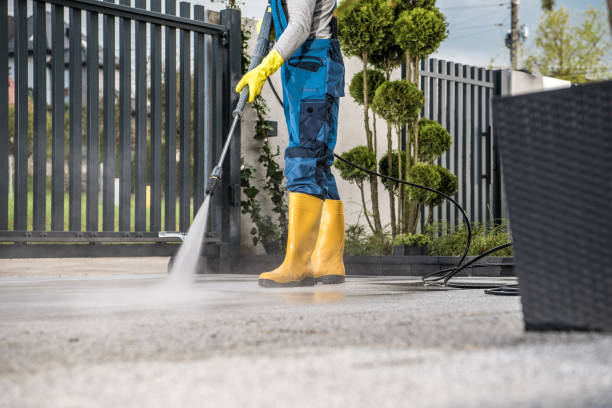 Best Exterior Home Cleaning  in Scott Af, IL