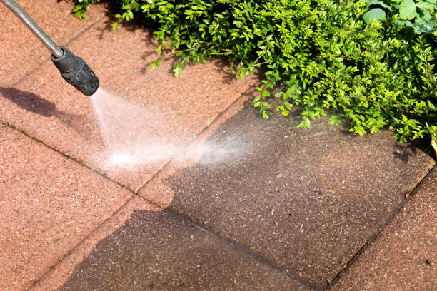 Best Exterior Home Cleaning  in Scott Af, IL