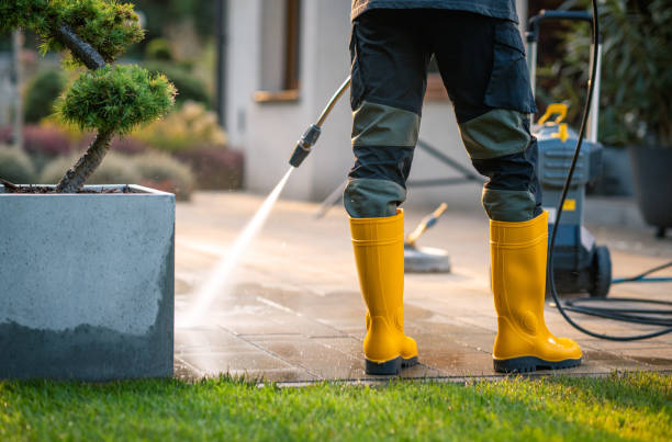 Best Local Pressure Washing Services  in Scott Af, IL